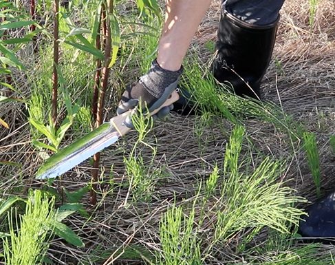Nisaku hori hori knife digging in a garden bed