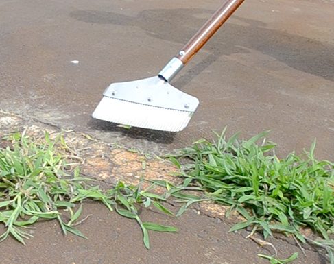 Weeder in the cracks
